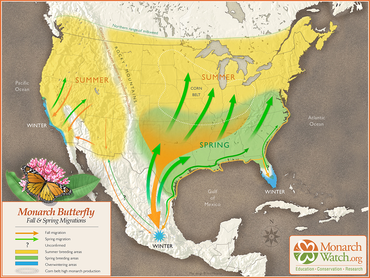 Monarch Migration Map