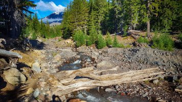 Day 2 - Glacial Stream - cross those logs 2