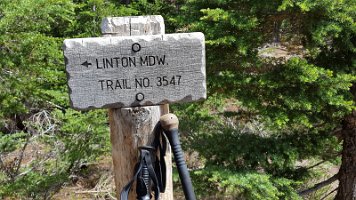 Day 3 - Linton Meadow - next time