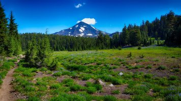 Day 3 - Yep, that's my trail - someone has to walk it