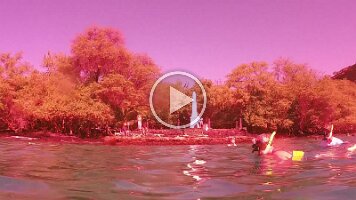 NORM_0001