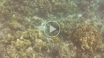 NORM_0006