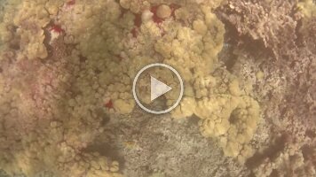 NORM_0011
