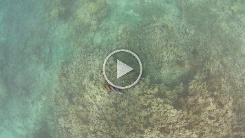 NORM_0013