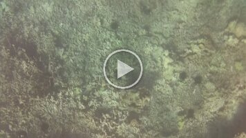 NORM_0015
