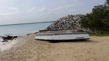 Day 7 conch and boat