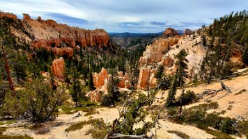 Navajo-Queens Garden and more (33)