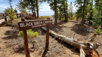 Navajo-Queens Garden and more (41)