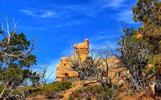 Day 2 - Fairyland Loop (36)