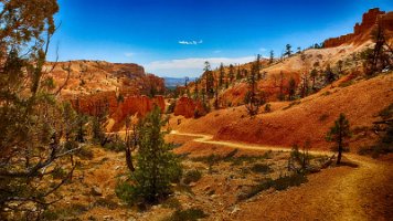 Day 2 - Fairyland Loop (41)