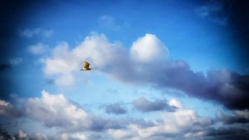 20191208_073409