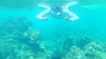 bootie and the goatfish 03