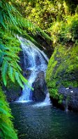 Wigmore Waterfalls