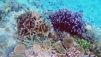 A001_10220857_C202_000001