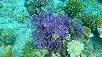 A001_10220914_C218_000002