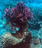 A001_10220918_C223_000015