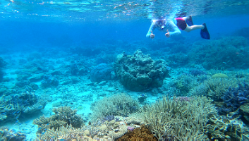 A001_10220939_C236_000007