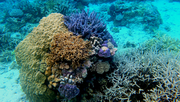 A001_10220941_C238_000017