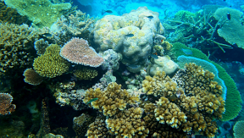 A001_10220945_C243_000001