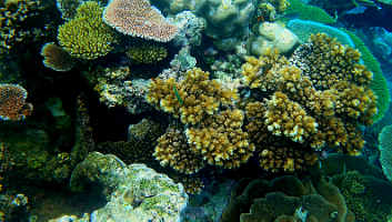 A001_10220945_C243_000003