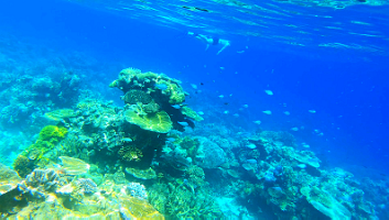 A001_10220949_C250_000016