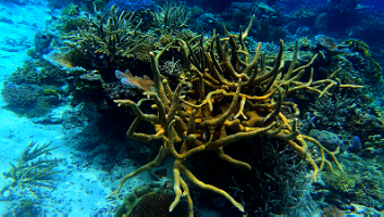 A001_10220949_C250_000035