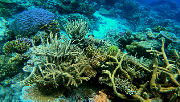 A001_10220949_C250_000042