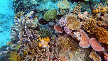 A001_10220951_C252_000012