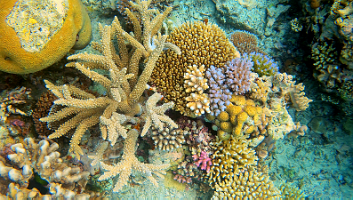 A001_10220955_C255_000005