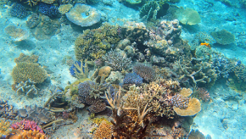 A001_10220956_C256_000022