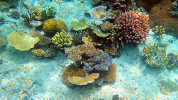 A001_10220958_C258_000011