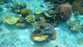 A001_10220958_C258_000012