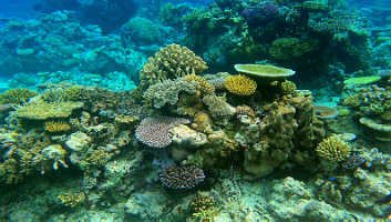 A001_10220959_C259_000053