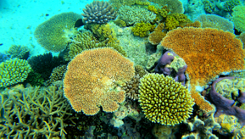 A001_10221002_C262_000001