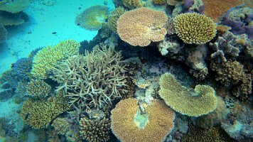 A001_10221002_C262_frame_0_09_18f_edited