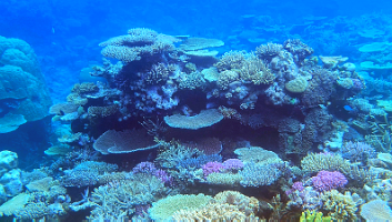 A001_10221007_C269_000008