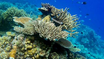 beautiful photo 1_000025