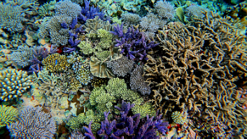 beautiful photo 2_000001