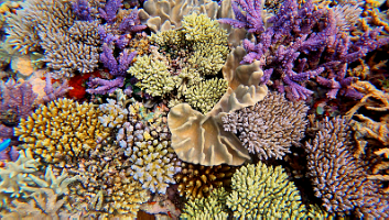 beautiful photo 2_000010