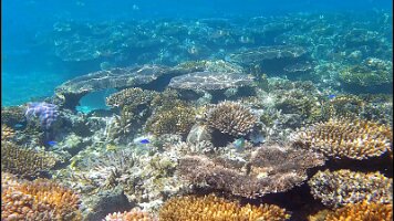 Split Rock_frame_0_15_1f_edited