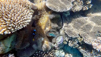 4_frame_0_10_17f_edited