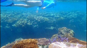 Split Rock_frame_0_30_4f_edited