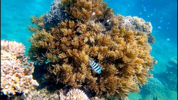 Split Rock_frame_2_24_10f_edited