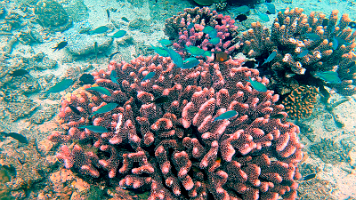 Still 2025-11-01 152640_1.1.2_edited