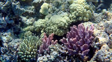 frame_0_17_18f_edited