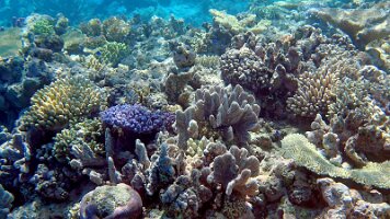 frame_0_22_14f_edited