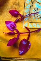 20251020_131111(1)(1)