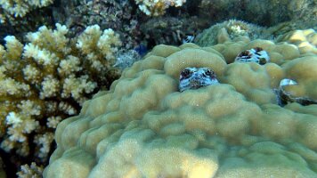 A001_10240906_C354_frame_0_23_1f_edited