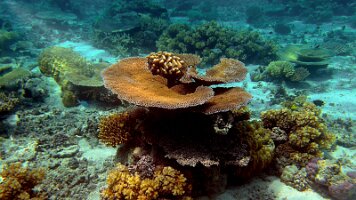 A001_10241003_C390_frame_0_06_10f_edited