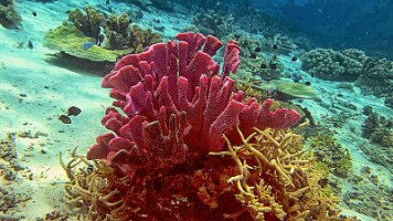 A001_10241008_C395_frame_0_13_2f_edited